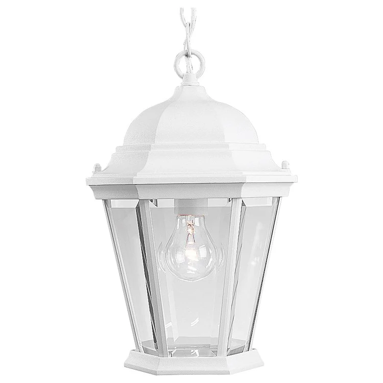 Welbourne Single-Light Small Hanging Lantern - Frankwebs