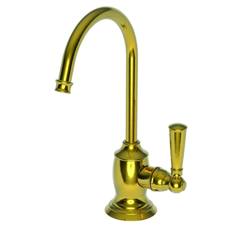 Cold Water Dispenser Jacobean 1 Lever ADA Gooseneck Antique Nickel - Frankwebs