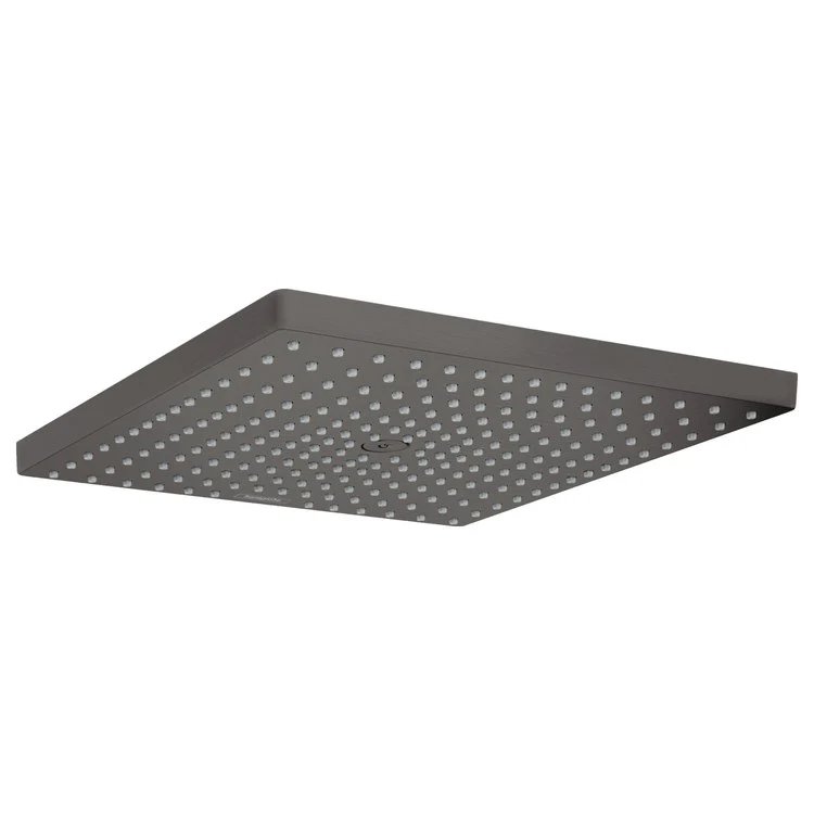 Raindance E 300 Single-Jet Shower Head (1.8 GPM) - Frankwebs