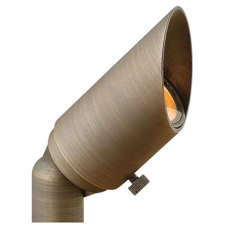 Hardy Island Single-Light MR-11 Landscape Spot Light - Frankwebs