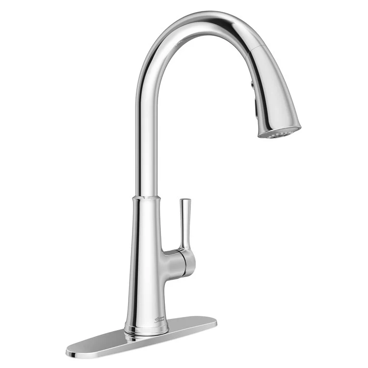 Kitchen Faucet Renate 1 Lever ADA Polished Chrome Pull Down 1.5GPM - Frankwebs