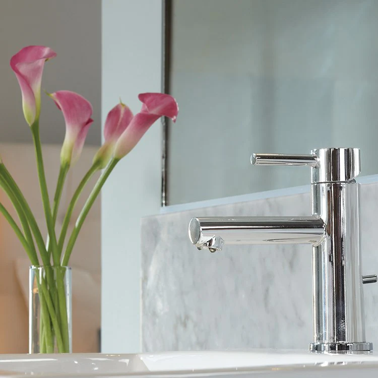 Align Single Handle High-Arc Bathroom Faucet with Pop-Up Drain - Frankwebs