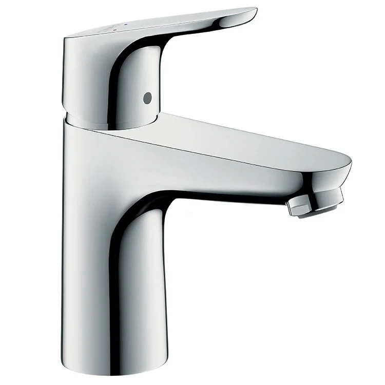 Focus E 100 Single Handle Single-Hole Bathroom Faucet with Pop-Up Drain - Frankwebs