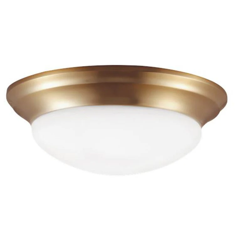 Nash Single-Light LED Flush Mount Ceiling Fixture - Frankwebs
