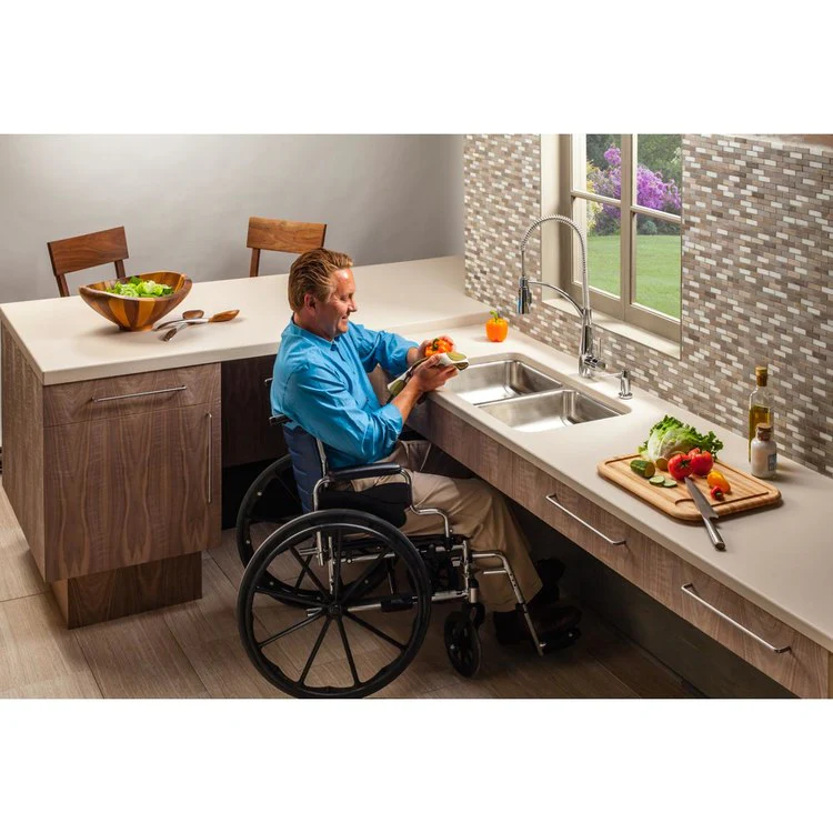 Kitchen Sink Lustertone Classic 30.75 x 18.5 Inch Double Bowl Equal ADA Lustertone Undermount Rectangle Drain Location Rear Center Depth 4-7/8 Inch Bottom Only Pads - Frankwebs