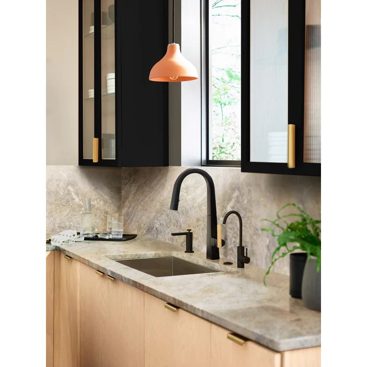 Kitchen Faucet Nio 1 Lever ADA Matte Black Pull Down - Frankwebs