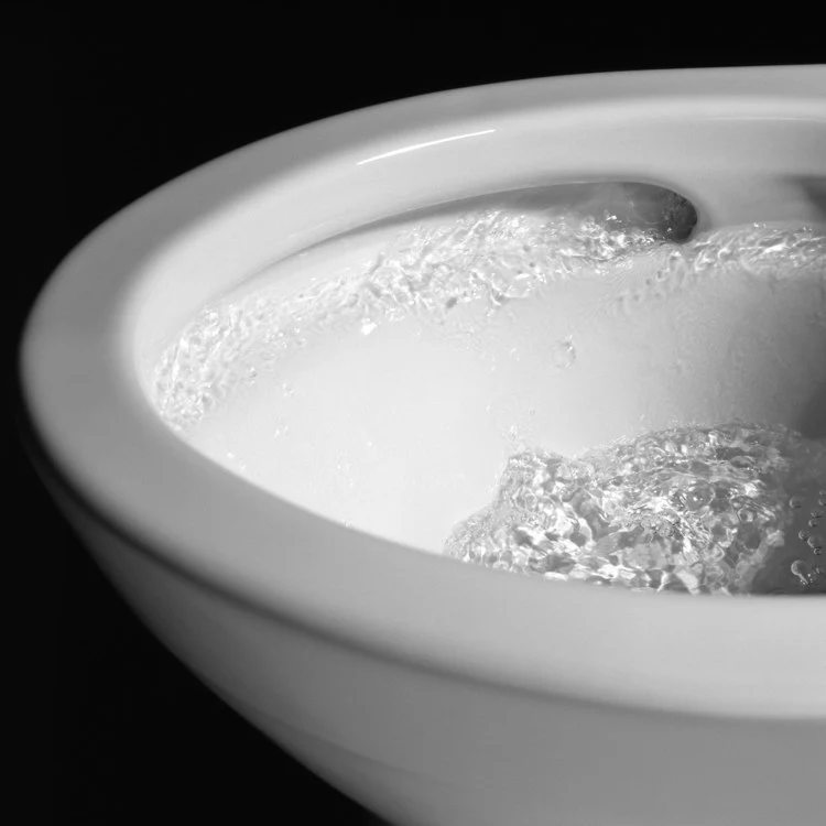 Toilet Drake 2 Pieces Cotton Elongated 29-1/2 Inch 1.28 Gallons per Flush Left Hand Chrome Washlet+ C2 - Frankwebs
