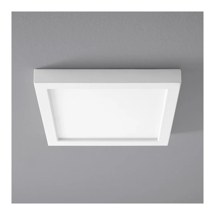 Altair Single-Light 9