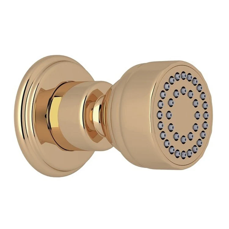 Body Spray Unlacquered Brass Wall Mount 3 Inch 1 Function 1.0 Gallons per Minute 1/2IN FNPT - Frankwebs