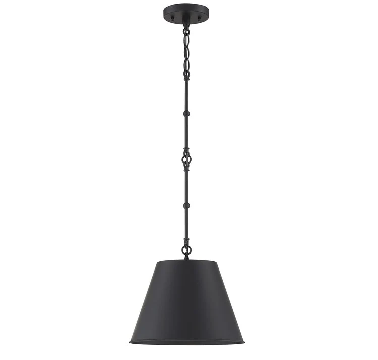 Alden Single-Light Pendant - Frankwebs