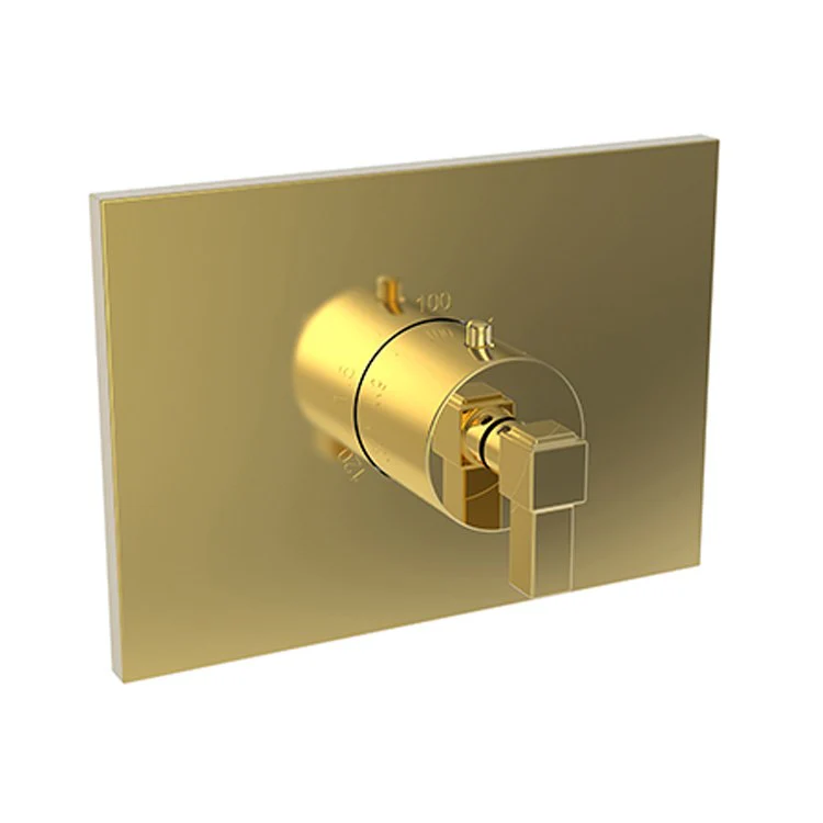 Thermostatic Trim Malvina Rectangular Plate 1 Lever Forever Brass PVD ADA for Rough Valve 1-540 Face Plate and Temperature-Adjust Handle Brass - Frankwebs