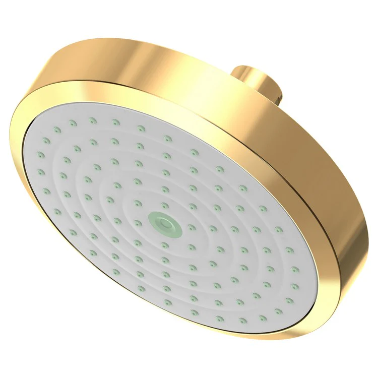 Showerhead Newport Bath 1 Function French Gold PVD 5-15/16 Inch 1.8 Gallons per Minute Rubber NZL - Frankwebs