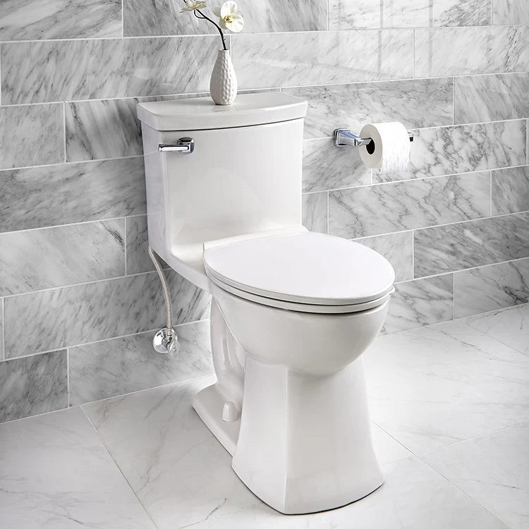 Townsend Vormax One-Piece Right Height High-Efficiency Elongated Toilet with Seat - Frankwebs