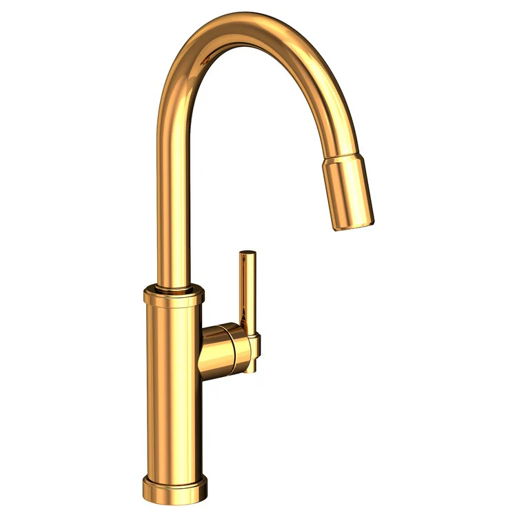 Kitchen Faucet Seager 1 Lever ADA Polished Brass Uncoated Living Pull Down Spout Height 10-4/5 Inch 1.8 Gallons per Minute - Frankwebs
