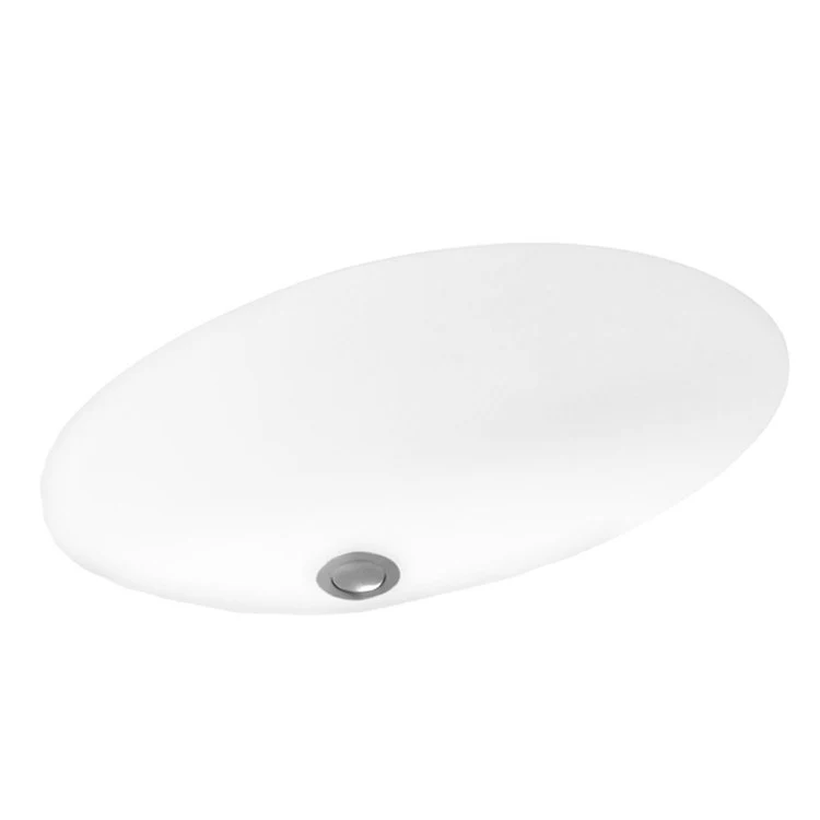 Lavatory Bowl Single Bowl Undermount 19 x 13 Inch Bisque 6-1/4 Inch ADA - Frankwebs