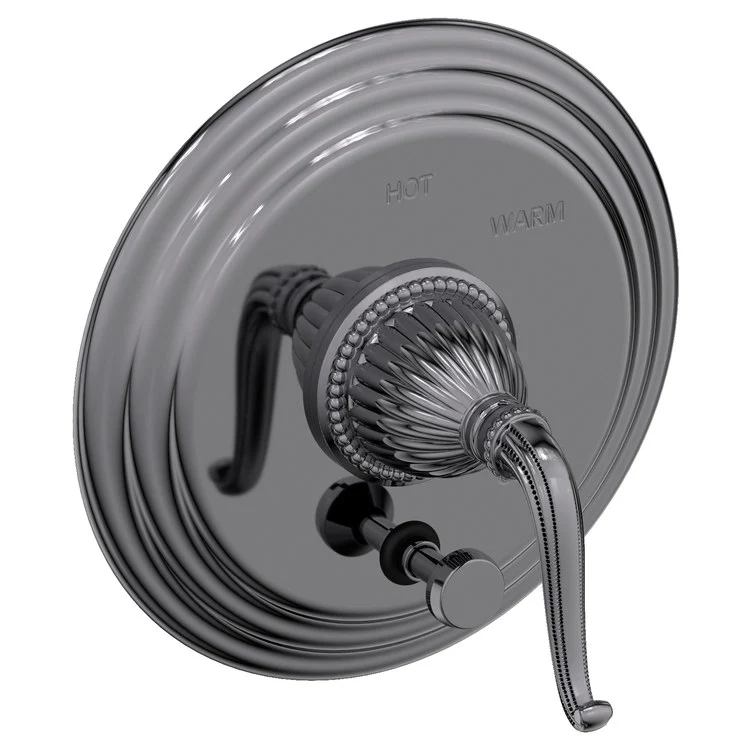 Alexandria Pressure Balance Tub/Shower Valve Trim Only with Lever Handle - Polished Gold PVD - Frankwebs