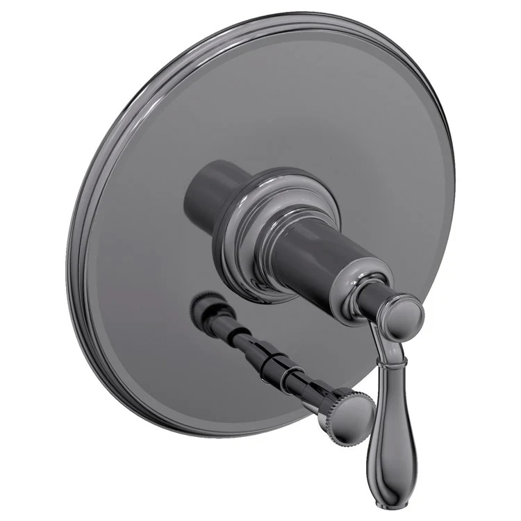 Ithaca Pressure Balance Tub/Shower Valve Trim Only with Lever Handle - Antique Brass - Frankwebs