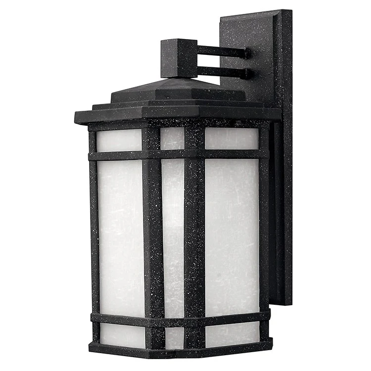 Cherry Creek Single-Light LED Medium Wall-Mount Lantern - Frankwebs