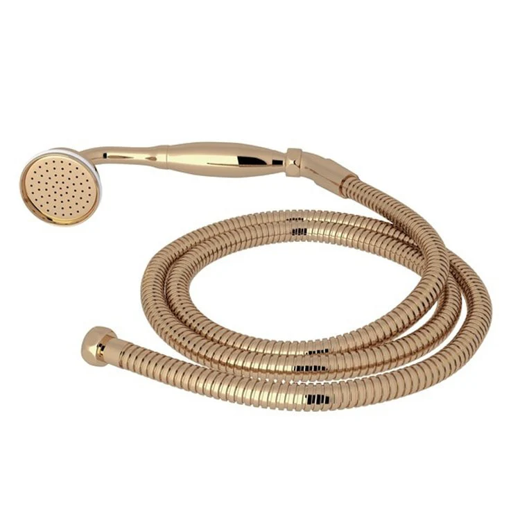 Handshower Set English Gold 1 Function 1.75 Gallons per Minute Includes Metal Handshower and Hose - Frankwebs