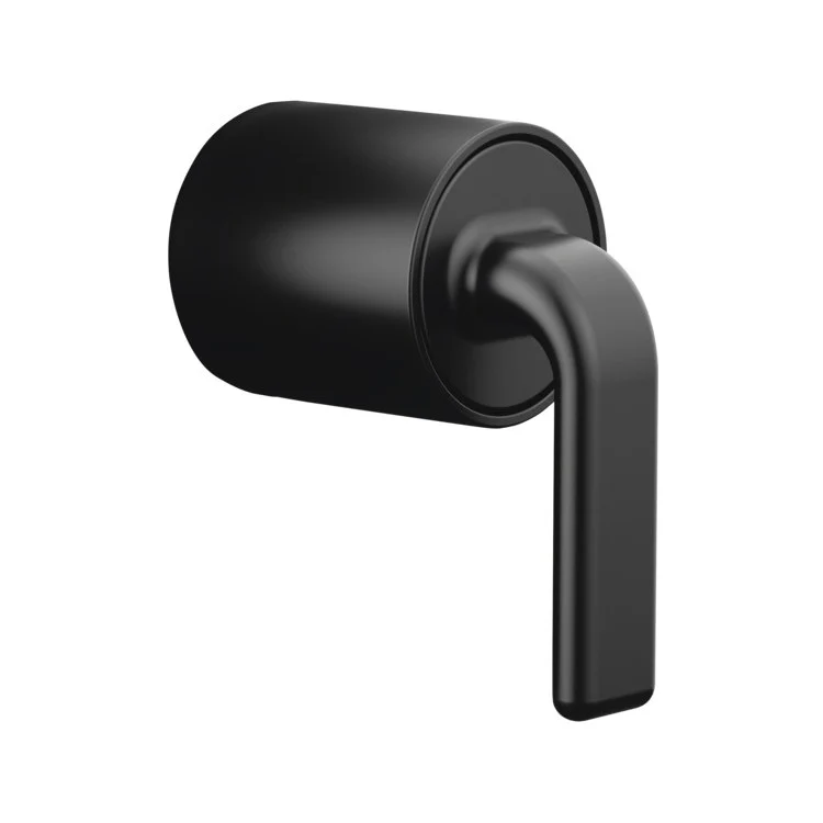 Handle Kit Allaria Zinc 1 Twist Lever Matte Black ADA for Pressure Balance Valve - Frankwebs