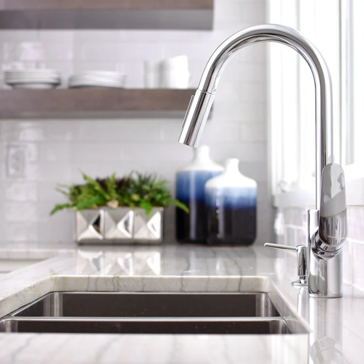 Focus Single-Hole Pull Down Kitchen Faucet with Dual Spray - Frankwebs