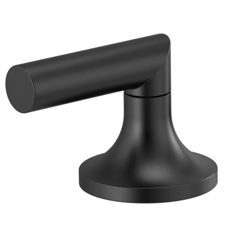 Handle Kit Odin Zinc 2 Low Lever Brilliance Luxe Gold ADA for Widespread Lavatory - Frankwebs