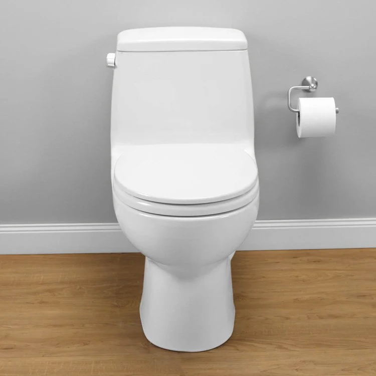 Ultimate Round One-Piece Toilet with SoftClose Seat - Frankwebs