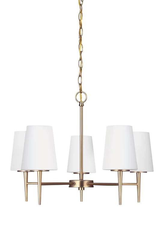 Driscoll Five-Light LED Chandelier - Frankwebs