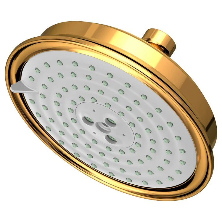 Traditional Five-Function Shower Head - Frankwebs