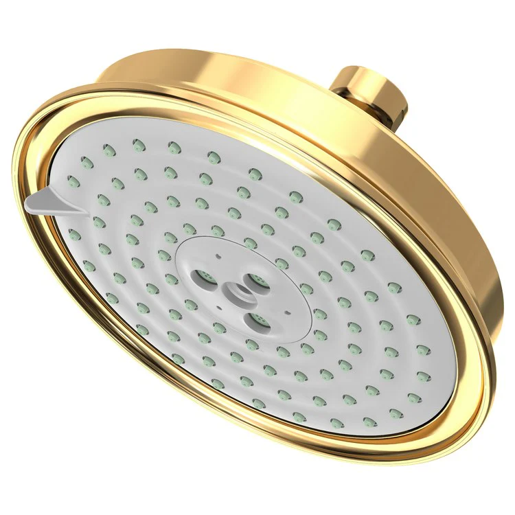 Traditional Five-Function Shower Head - Frankwebs