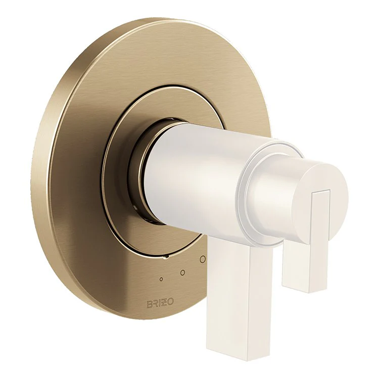 Litze TempAssure Thermostatic Valve Trim without Handles - Frankwebs
