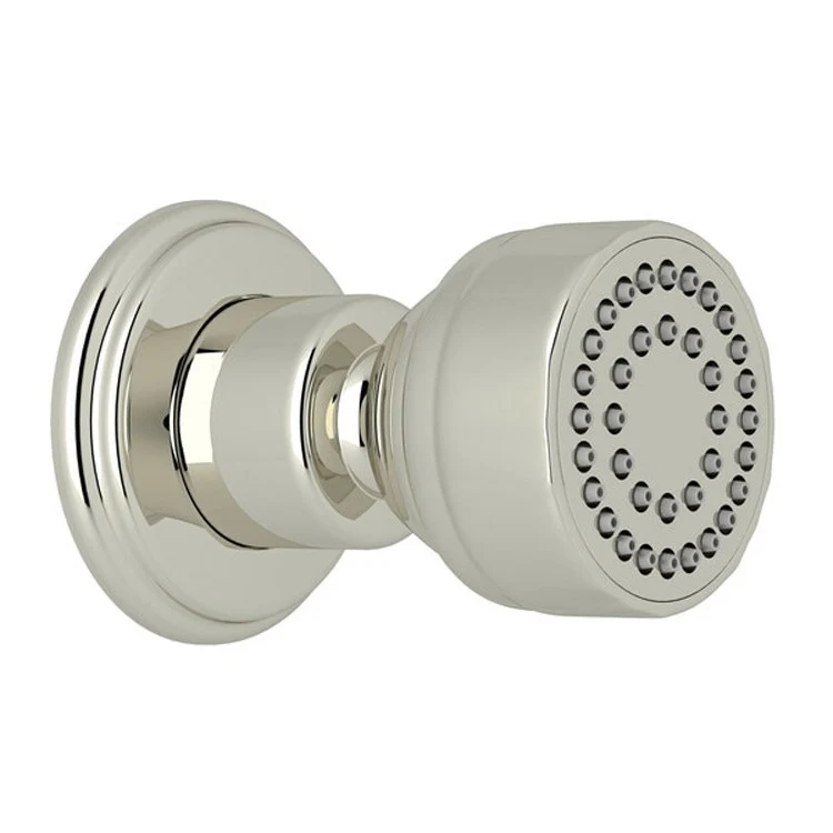 Body Spray Unlacquered Brass Wall Mount 3 Inch 1 Function 1.0 Gallons per Minute 1/2IN FNPT - Frankwebs