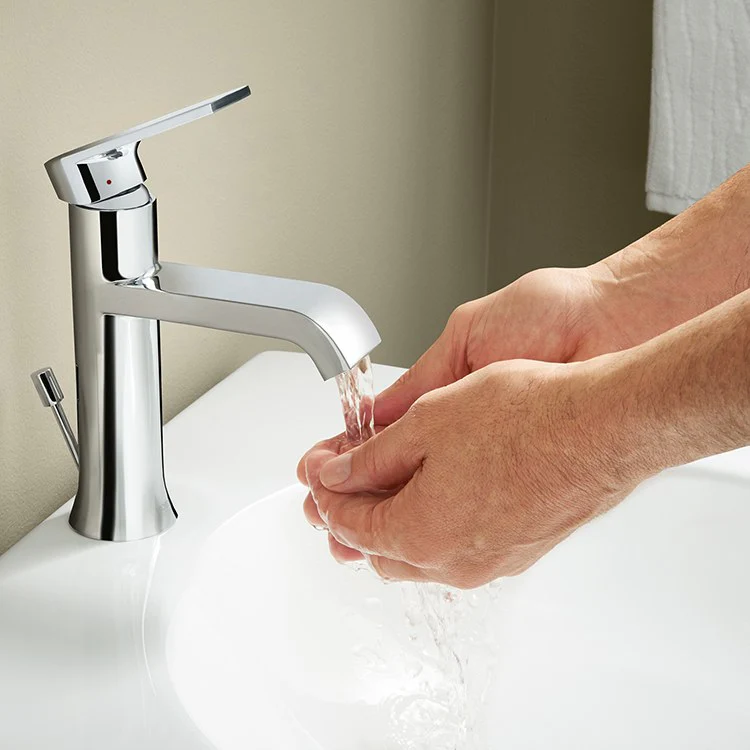 Genta Single Handle High-Arc Bathroom Faucet with Drain - Frankwebs