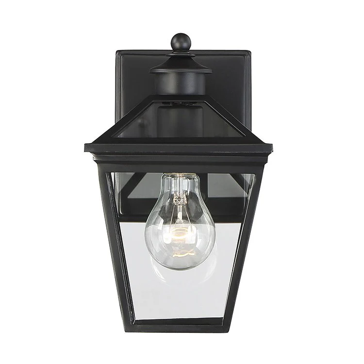 Ellijay Single-Light Outdoor Wall Mount Lantern - Frankwebs