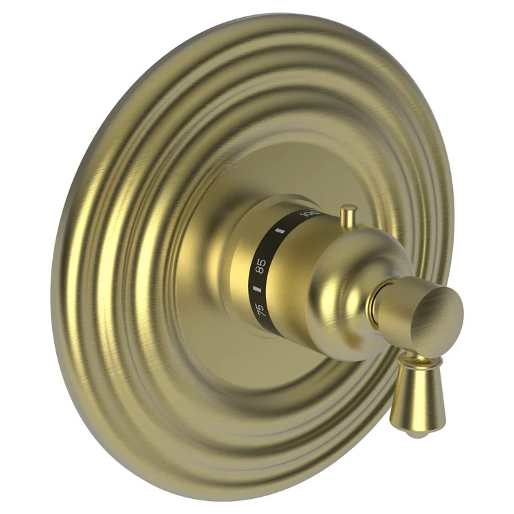 Thermostatic Trim Metropole Round Plate 1 Lever Polished Brass Uncoated Living ADA for Rough Valve 1-540 Face Plate and Temperature-Adjust Handle Brass - Frankwebs