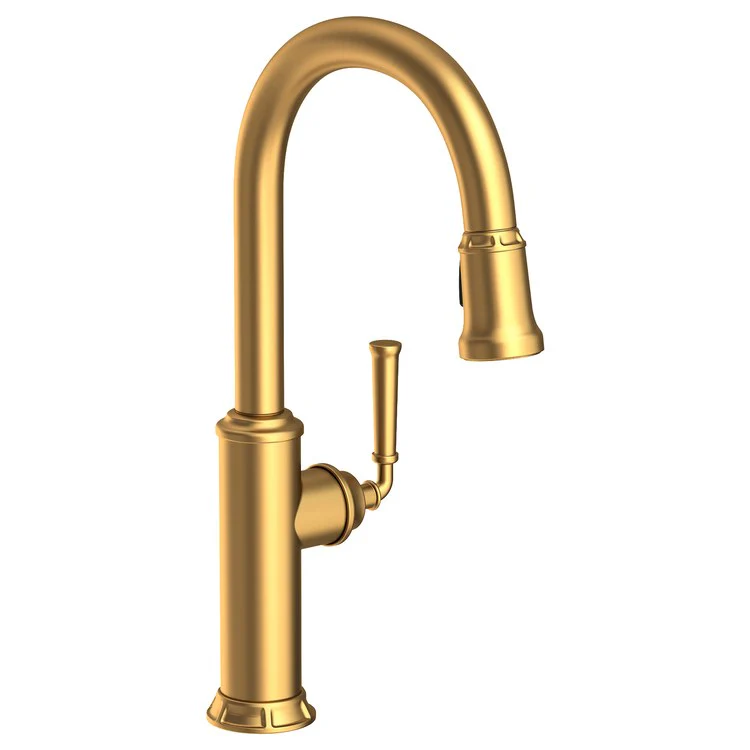 Kitchen Faucet Gavin 1 Lever ADA Polished Gold PVD Pull Down Spout Height 10-3/8 Inch 1.8 Gallons per Minute - Frankwebs