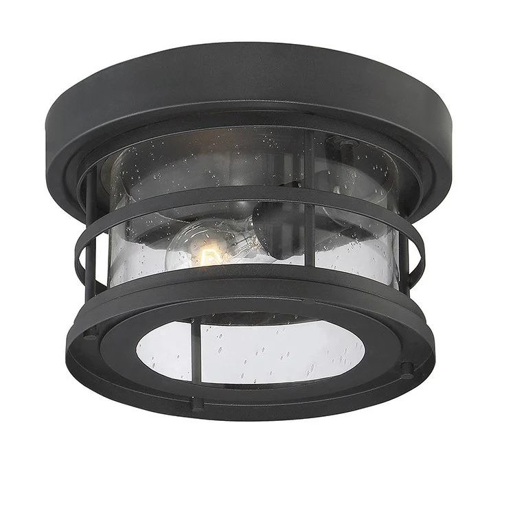 Barrett Single-Light Outdoor Flush Mount Ceiling Light - Frankwebs