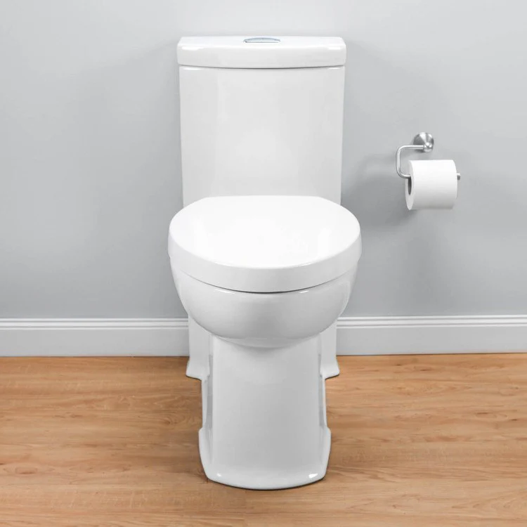 Boulevard Right Height FloWise Elongated 1-Piece Toilet with Top Mount Trip Lever - Frankwebs