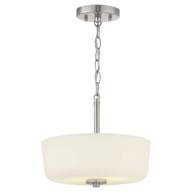 Tobin Two-Light Convertible Semi-Flush Mount Ceiling Fixture/Pendant - Frankwebs