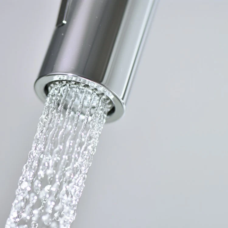 Focus Single-Hole Pull Down Kitchen Faucet with Dual Spray - Frankwebs