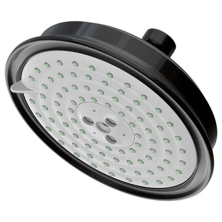 Traditional Five-Function Shower Head - Frankwebs