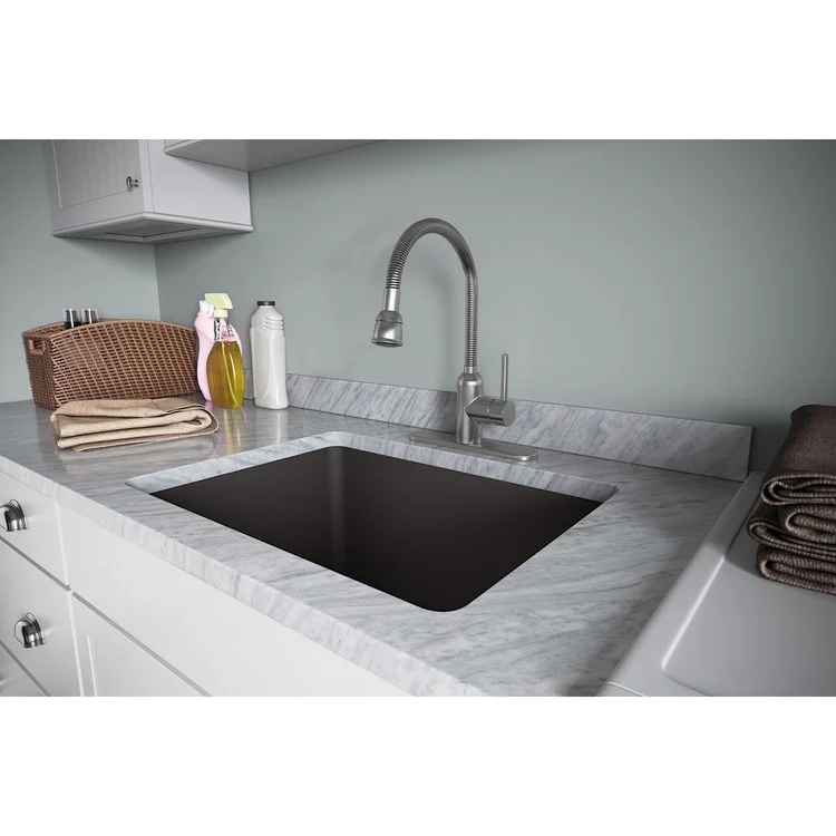 Laundry Faucet Pursuit Deck Mount 1 Forward Only Lever ADA Lustrous Steel Flexible Handspray Type Flexible 1 Brass Hole Spout Height 8-3/8 Inch - Frankwebs