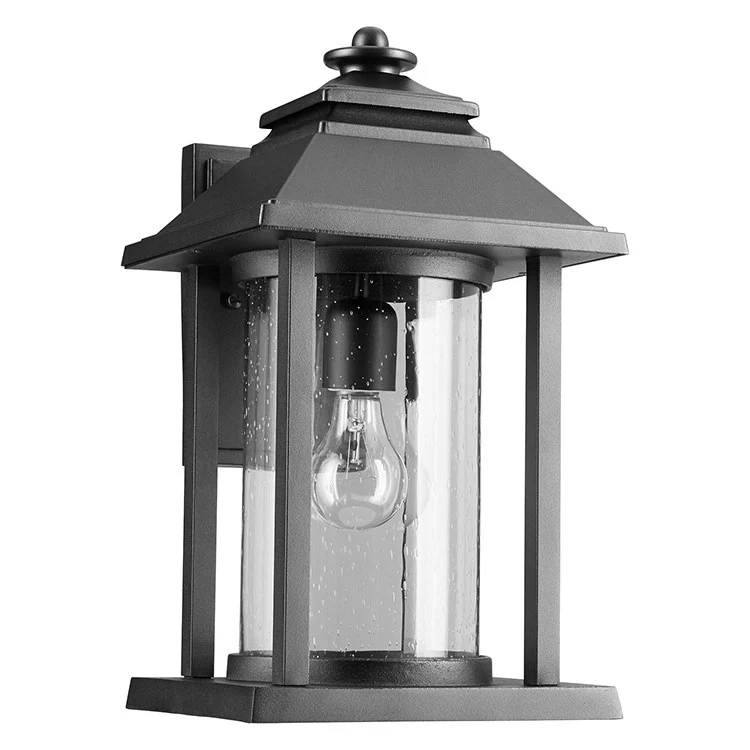 Crusoe Single-Light Large Outdoor Wall Lantern - Frankwebs