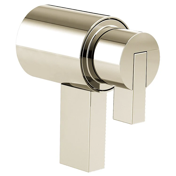 Litze Replacement Lever Handle for TempAssure Thermostatic Valve - Frankwebs