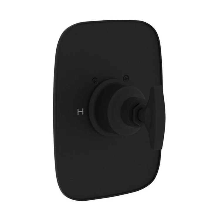 Thermostatic Trim Graceline Less Volume Control 1 Dial Satin Nickel 3/4 Inch 12 Gallons per Minute - Frankwebs