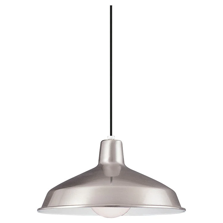 Painted Shade Single-Light Pendant - Frankwebs