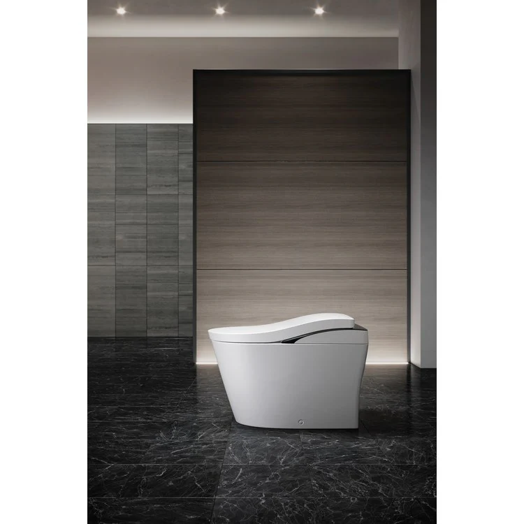 Bidet Seat Neorest Elongated LS Top Unit with Silver Trim 1.0/0.8 Gallons per Minute Cotton Heated WaterSense/CALGreen ADA 20-13/16 Inch - Frankwebs