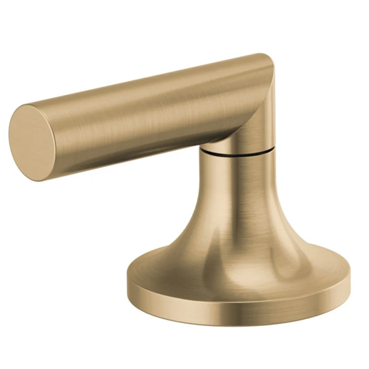 Handle Kit Odin Zinc 2 Low Lever Brilliance Luxe Gold ADA for Widespread Lavatory - Frankwebs