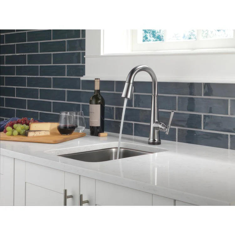 Bar Faucet Emmeline 1 Lever ADA Lumicoat Arctic Stainless Pull Down 1.8 Gallons per Minute - Frankwebs