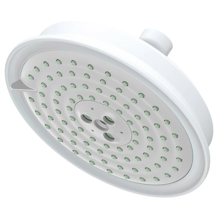 Traditional Five-Function Shower Head - Frankwebs